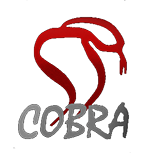 Dragan Bjelogrlić - Cobra Film